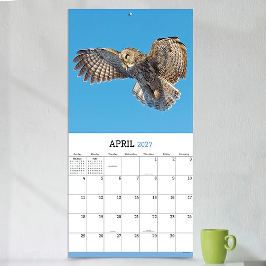 2027 Owls Wall Calendar